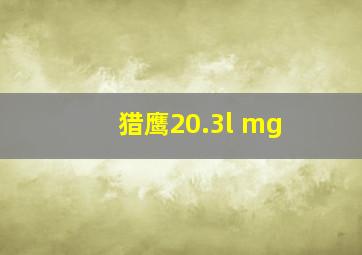 猎鹰20.3l mg